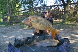 Costin COD